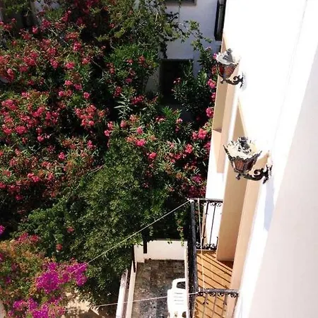 리조트 Yildiz Bodrum