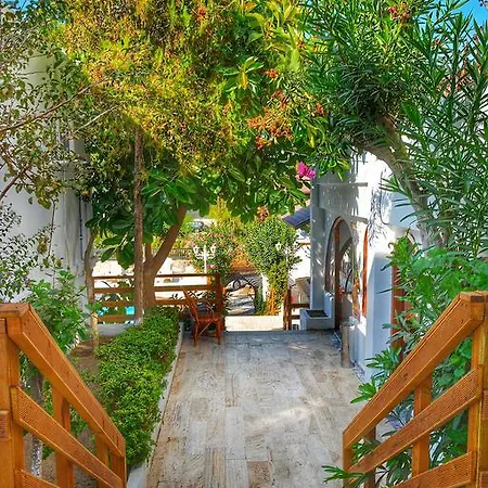 Resort Yildiz 3*