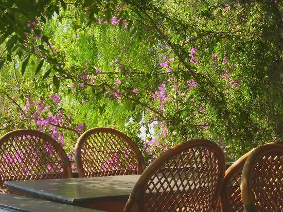 Yildiz Bodrum