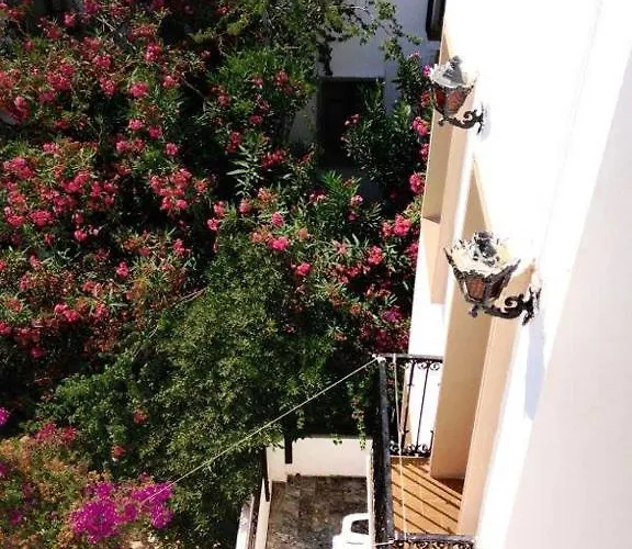 Semesteranläggning (resort) Yildiz Bodrum