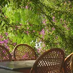 Yildiz Bodrum
